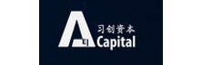 AEI Capital Group