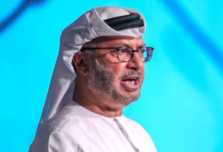 UAE Says Use of Hormuz Must be Guaranteed in Any US-Iran Deal