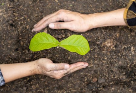 Viet Nam, Brazil Enhance Smart Agriculture Ties