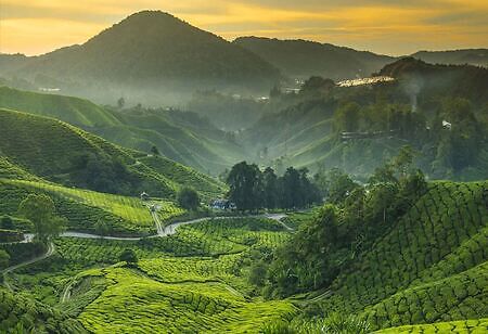 Malaysia: A Country Abundant in Cultural and Biological Diversity