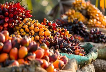 POSCO International to Invest in Indonesian Palm Oil Business