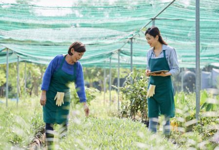 Report Urges to Advance Sustainable Agriculture in Viet Nam